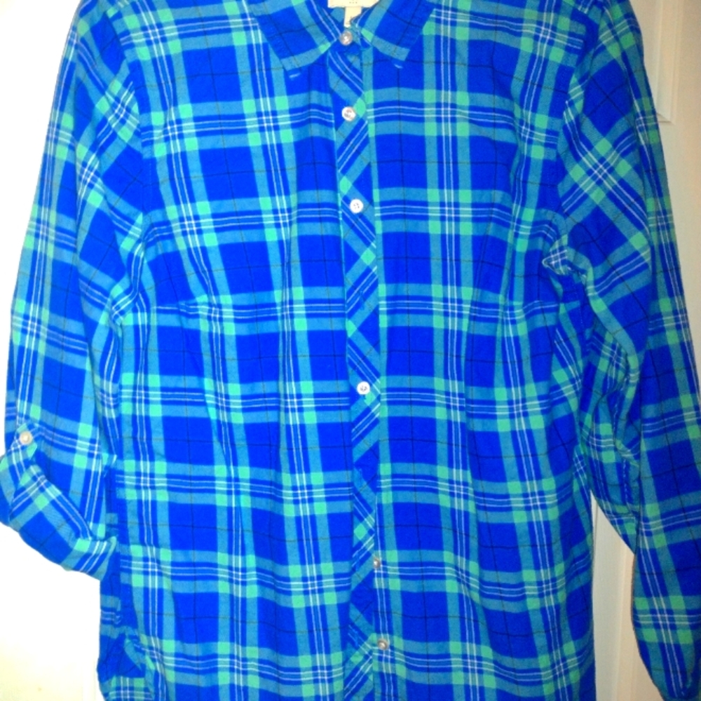 Colorful Blue Button Up Sleeve, Talbot Blouse